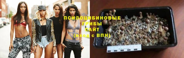 мет Верхний Тагил