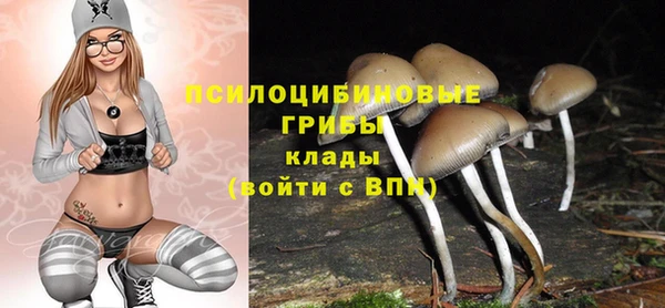 мет Верхний Тагил