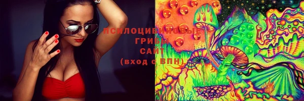 2c-b Верея