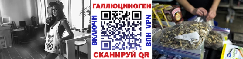 Псилоцибиновые грибы GOLDEN TEACHER  Георгиевск 