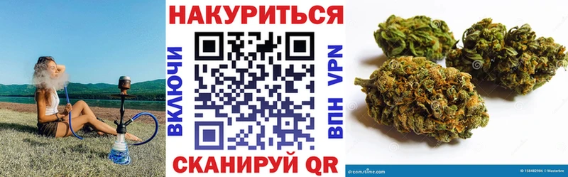 где купить наркоту  Георгиевск  Бошки Шишки Bruce Banner 